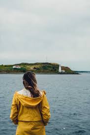 Weave through the bookshelves or stand on the top floor and shoot down the staircase, your. Amazing Things To Do In Halifax Nova Scotia Bobo And Chichi