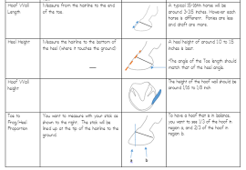 measuring the hoof to assess health barefoot trimming