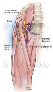 Maybe you would like to learn more about one of these? Block Buddy Anatomical Variations Of The Lateral Femoral Facebook