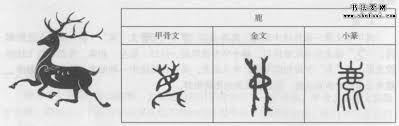 Image result for 呂英儒空間