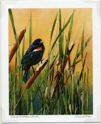 Black Bird With Yellow And Red Wing Red Wing Blackbird With Cattails Sunset Landscape Watercolor Art Print By Cindy Day Red Wing Blackbird Black Bird Nature Inspired Painting
