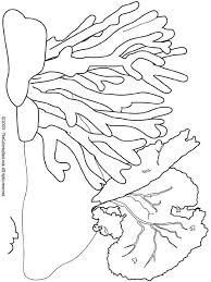 Land Sea And Me Activity Coral Reef Bleaching 7 26 2015 Coloring Pages Coral Reef Color Free Coloring Pages