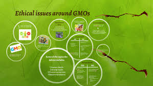 In this article, we review the recent literature and discuss in detail ethical issues pertaining to the application of this technology to five areas; Ethical Issues Around Gmos By Glo Gallardo Flores