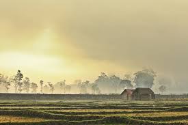 Top 5 National Parks In Karnataka Trans India Travels