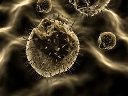 Yapılan ultrason görüntülemesi ile rahim sarkması anlaşılabilir ve aynı zamanda sarkmanın derecesi de belirlenebilir. Yumurtalik Kanseri Belirtileri Nelerdir Prof Dr Ates Karateke