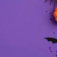 Trunk or Treat at Volusia Memorial Park  event image