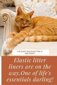 Cat Litter Box Liners Make Cleaning The Litter Box So Much Easier The Addition Of Elastic To The Liner Helps The L Litter Box Liner Cat Litter Best Cat Litter