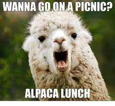 Online Fashion Shop For Women Men Kids Funny Puns Animal Jokes Funny Animals