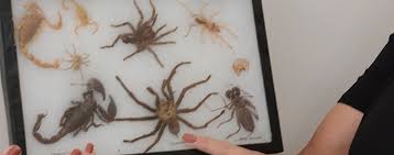 We feature premise®, treatments and termidor treatments. Continuing Education Mobile Training Solutions Llcmobile Training Solutions Llc