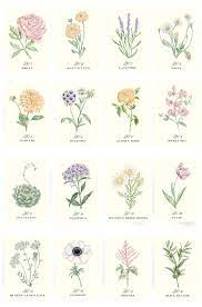 Botanical Floral Table Numbers Botanical Flowers Flower Art Flower Names