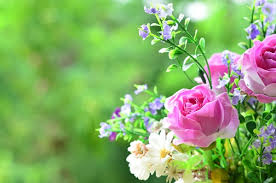 Crochet butterfly free patterns:attach butterfly applique onto fashion, make 3d butterflies as mobile nursery or chandelier. 7 Fiori Estivi Per Il Balcone Pollicegreen