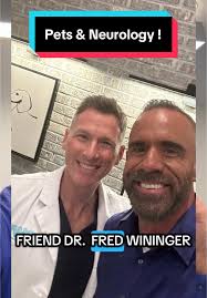 Understanding When to See a Veterinary Neurologist