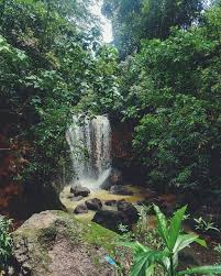Natural spring, udear spring is located at verna few meters away from ambulor lake. Kesarval Spring Panjim 2021 What To Know Before You Go With Photos Tripadvisor