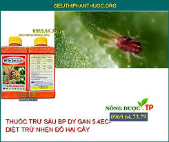 BP Dy Gan 5.4EC.