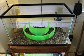 This is the perfect diy project for betta tanks or even guppy fry tanks.check out my new channel and. Aquascape Ideas Aquascape Substrate Divider
