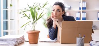 Bis wann muss ich mich arbeitssuchend melden? Arbeitslos Melden Online Antrag Fristen Mystipendium