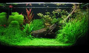 Maybe you would like to learn more about one of these? Co2