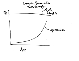 Decreasing Term Life Insurance • The Insurance Pro Blog