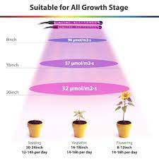 Thow Long Should You Leave The Grow Light On You Should Not Leave Your Grow Light On 24 7 Plants Do Need Some Grow Lights For Plants Grow Lights Grow Lamps