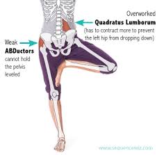 Neglecting Your Hip Abductors And Adductors Can Mess Up Your Walk Sleep And Balance Strengthen Hips Hip Flexor Stretch Hip Flexor Exercises