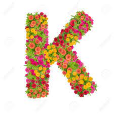 Are you planning to work for your entire life? Letter K Alphabet Made From Zinnia Flower Abc Concept Type As Logo Typography Design With Clipping Path Stock Photo Picture And Royalty Free Image Image 88173940