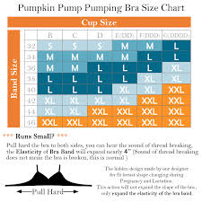 » inculcating the art and science of risk management and broader governance culture is critical for startups: Buy Pumping Bra Hands Free Pumping Bra Breast Pumping Bra And Nursing Bra Adjustable Wireless Comfortable Breastfeeding And Pumping Bra Fits Breast Pumps Small Xx Large Black Large Online In Indonesia B092jkhhwp