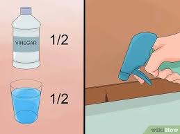 How to help get rid of ants in the kitchen terminix. How To Get Rid Of Ants In The Kitchen With Pictures Wikihow