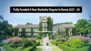The seeds do start up, then i put some soil over that and give the plants added nutrients. Yonsei University Fully Funded Scholarship For International Students To Study In Korea 2021 24 Asean Scholarships