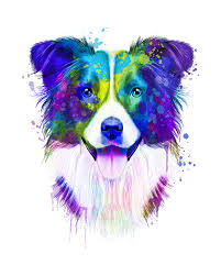 Border Collie Watercolor Watercolor Border Collie Watercolor Dog Border Collie Portrait Hand Bath Towel Border Collie Art Watercolor Dog Watercolor Border