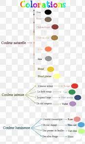 Animal Crossing New Leaf Hairstyle Human Hair Color Cosmetologist Eye Color Png 950x1600px Animal Crossing New Leaf Animal Crossing Area Beauty Parlour Blue Download Free