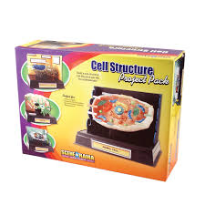 Continuous organ production that is characteristic of plant growth requires a robust regulatory network to maintain this balance. Cell Structure Project Pack Woodland Scenics