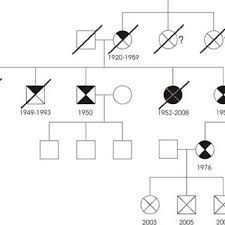 circle family tree sada margarethaydon com