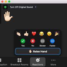 Zoom Update New Reactions Buttons Jan Keck