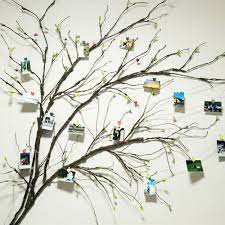 Get the best deals on faux silk branch, twig & stem floral décor. Pin On School