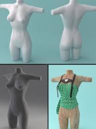 Female Torso Reference Stlfinder 1,000+ vectors, stock photos & psd files. stlfinder