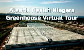 Aleafia Health Niagara Greenhouse Virtual Tour The