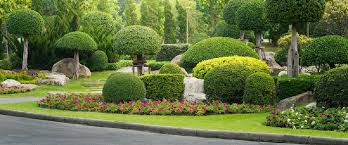 Maybe you would like to learn more about one of these? Irrigation Systems Sarasota Landscaping Design Expert Landscapers