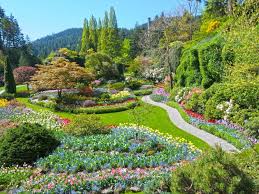 See all things to do. Butchart Gardens Afternoon Tea