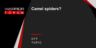 Home top 10 most poisonous spiders one of the world's most poisonous spiders the camel spider. Camel Spiders Warrior Forum The 1 Digital Marketing Forum Marketplace