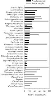 Image result for Tragus koelerioides