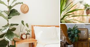 Ten boho bedroom ideas to help you design your own inviting space. Plants For A Boho Bedroom The Girl With A Shovel
