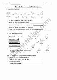 50 Food Chains And Webs Worksheet Chessmuseum Template Library Food Chain Worksheet Food Web Worksheet Food Web