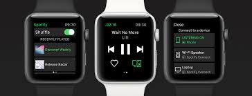 The app features buttons to seek backward and forward 15 seconds, play/pause, choose chapters, speed up playback, and more. How To Play Spotify Offline On Apple Watch Without Iphone