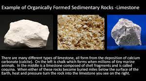 The most common types include coal, lignite, oil shale, or black shale. Chemically And Or Organically Formed Sedimentary Rocks Ppt Download
