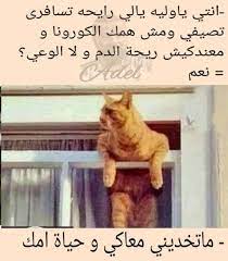 pin by juna mohamed on قفاشات funny pictures funny arabic quotes funny memes
