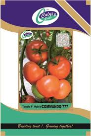 Image result for Commando R-777