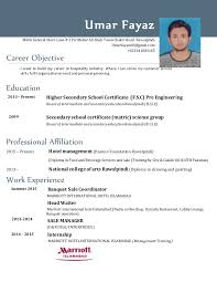 Why is this an effective finance & accounting cv? 162 Steely