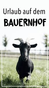 Auf Dem Hof Kohne Gibt Es Viele Streicheltiere Urlaub Ziege Streicheltiere Bauernhof Bauernhofurlaub Famil Bauernhofurlaub Tiere Urlaub Auf Dem Bauernhof