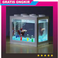 Ikan hias komet comet goldfish mas air tawar: Jual Aquarium Ikan Cupang Hias