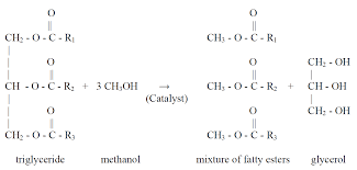 Transesterification To Biodiesel